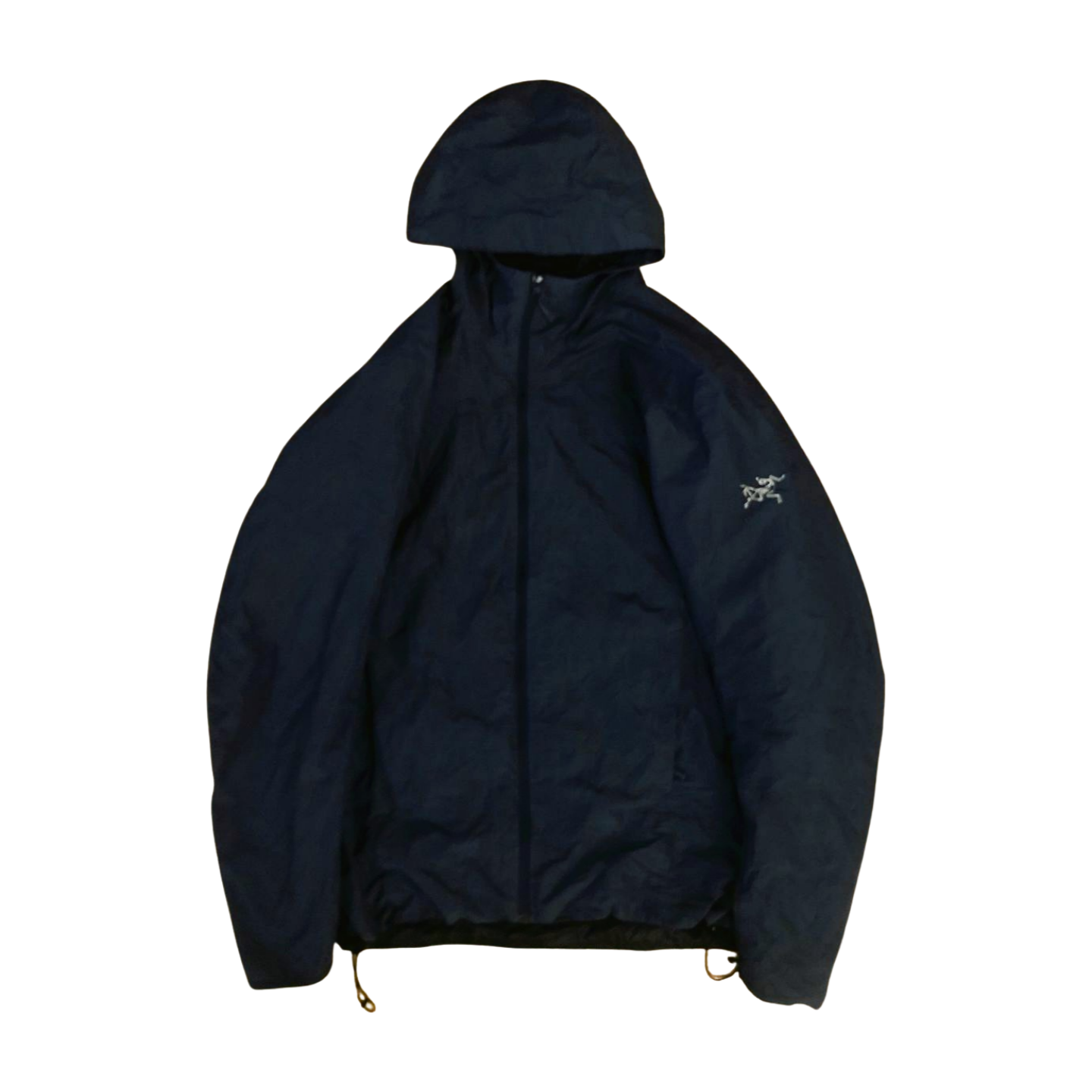 Vintage arcteryx jacket (L)