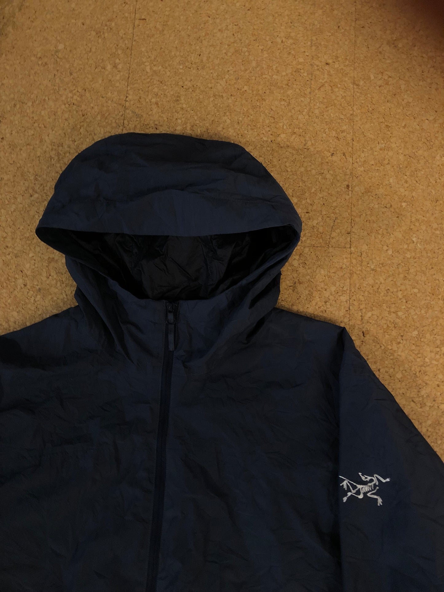 Vintage arcteryx jacket (L)